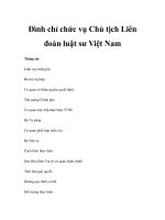 Đình chỉ chức vụ Chủ tịch Liên đoàn luật sư Việt Nam ppt