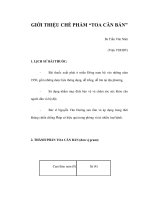 GIỚI THIỆU CHẾ PHẨM “TOA CĂN BẢN” docx