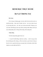 BỆNH HỌC THỰC HÀNH - DỊ VẬT TRONG TAI pot