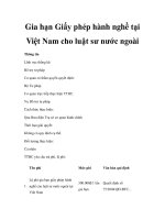 Gia hạn Giấy phép hành nghề tại Việt Nam cho luật sư nước ngoài pptx