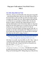 Tổng quan về mẫu malware Virus.Win32.Virut.ce- Phần 2 potx