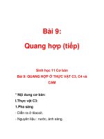Bài 9: Quang hợp (tiếp) ppt