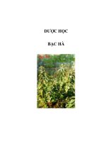 DƯỢC HỌC - BẠC HÀ ppsx