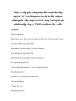 Thẩm tra cấp giấy chứng nhận đầu tư tại Khu công nghiệp Việt Nam-Singapore cho dự án đầu tư thuộc thẩm quyền chấp thuận của Thủ tướng Chính phủ gắn với thành lập công ty TNHH hai thành viên trở lên pptx