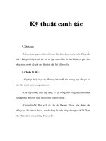 Kỹ thuật canh tác docx