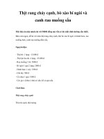 Thịt rang cháy cạnh, bò xào bí ngòi và canh rau muống sấu ppt