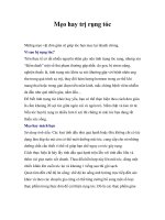 Mẹo hay trị rụng tóc ppt