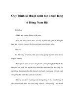 Quy trình kĩ thuật canh tác khoai lang ở Đông Nam Bộ doc