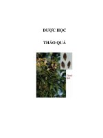 DƯỢC HỌC - THẢO QUẢ pptx