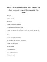 Cấp lại Giấy phép kinh doanh của doanh nghiệp có vốn đầu tư nước ngoài trong các khu công nghiệp Bình Dương ppsx