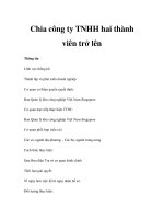 Chia công ty TNHH hai thành viên trở lên ppt