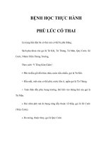BỆNH HỌC THỰC HÀNH - PHÙ LÚC CÓ THAI pot