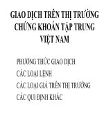 Giao dịch trên thị trường chứng khoán tập trung Việt Nam pps