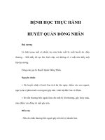 BỆNH HỌC THỰC HÀNH - HUYẾT QUÁN ĐỒNG NHÂN pps