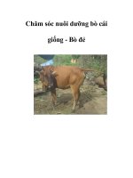 Chăm sóc nuôi dưỡng bò cái giống pot