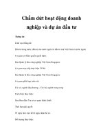 Chấm dứt hoạt động doanh nghiệp và dự án đầu tư ppt