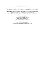 bai van thi DH dạt diem 10