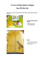 Áo len cũ bỗng thành cardigan họa tiết độc đáo pdf