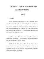 LỢI ÍCH CỦA VIỆC SỬ DỤNG NƯỚC DIỆP LỤC CHLOROPHYLL (Kỳ 1) pdf