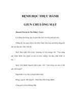 BỆNH HỌC THỰC HÀNH - GIUN CHUI ỐNG MẬT pot