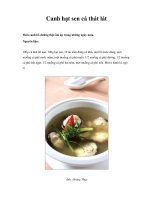 Canh hạt sen cá thát lát pdf