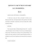 LỢI ÍCH CỦA VIỆC SỬ DỤNG NƯỚC DIỆP LỤC CHLOROPHYLL (Kỳ 2) docx