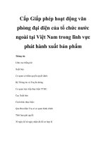 Cấp Giấp phép hoạt động văn phòng đại diện của tổ chức nước ngoài tại Việt Nam trong lĩnh vực phát hành xuất bản phẩm potx