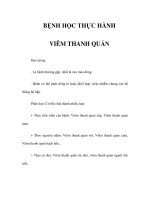 BỆNH HỌC THỰC HÀNH - VIÊM THANH QUẢN potx