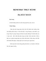 BỆNH HỌC THỰC HÀNH - DẠ DÀY XOẮN potx