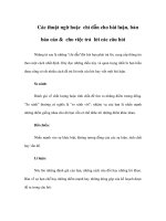 Các thuật ngữ hoặc chỉ dẫn cho bài luận, bản báo cáo & cho việc trả lời các câu hỏi potx