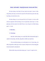 PHÁC ĐỒ ĐIỀU TRỊ BỆNH ĐÁI THÁO ĐƯỜNG pot