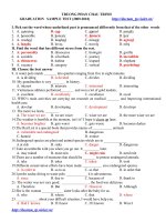 Trường Phan Châu Trinh Anh_12