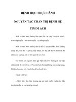 BỆNH HỌC THỰC HÀNH - NGUYÊN TẮC CHẨN TRỊ BỆNH HỆ TIM MẠCH ppt