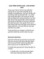 QUÁ TRÌNH NITRÁT HOÁ - KHỬ NITRÁT HOÁ pptx