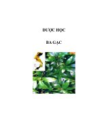 DƯỢC HỌC - BA GẠC pot