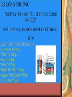 BÀI THẢO LUẬN KINH TẾ QUỐC TẾ - Sưu tầm bài viết về đầu tư trực tiếp, đầu tư gián tiếp vào Việt Nam ppsx