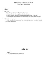 Đề thi kiểm tra HK2 năm học 2009-2010