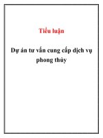 Tiểu luận dự án tư vấn cung cấp dịch vụ phong thủy