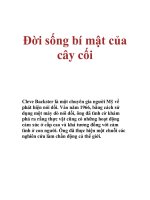 Đời sống bí mật của cây cối pptx