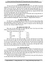 SKKN Ứng dụng CNTT vào giảng dạy môn tin học