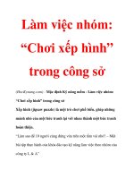 Làm việc nhóm: “Chơi xếp hình” trong công sở docx