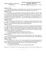 đề thi HSG Huyện Hương Trà 2009