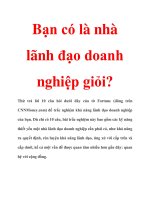 Bạn có là nhà lãnh đạo doanh nghiệp giỏi? pdf