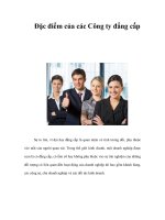 Đặc điểm của các Công ty đẳng cấp potx