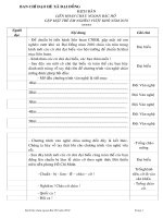 KICH BAN LIEN HOAN CNBH 2010