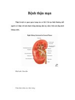 Bệnh thận mạn pdf