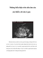 Những biểu hiện trên siêu âm của các khối u di căn ở gan ppt