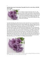 Sự thành công trong việc ứng dụng Công nghệ di truyền vào cuộc sống và đôi điều cần suy ngẫm pot