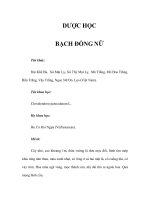 DƯỢC HỌC - BẠCH ĐỒNG NỮ pot