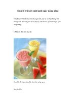 Sinh tố trái cây mát lạnh ngày nắng nóng pot